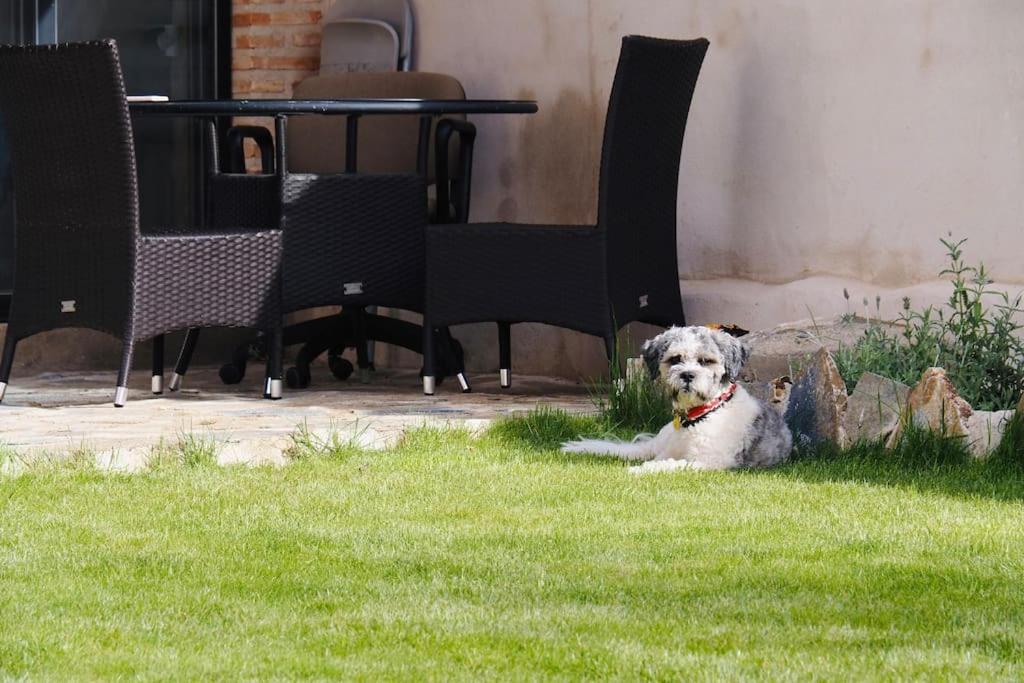 Mandres. Casa Con Jardin Y Piscina. Proximo A Puy Du Fou. Apartment