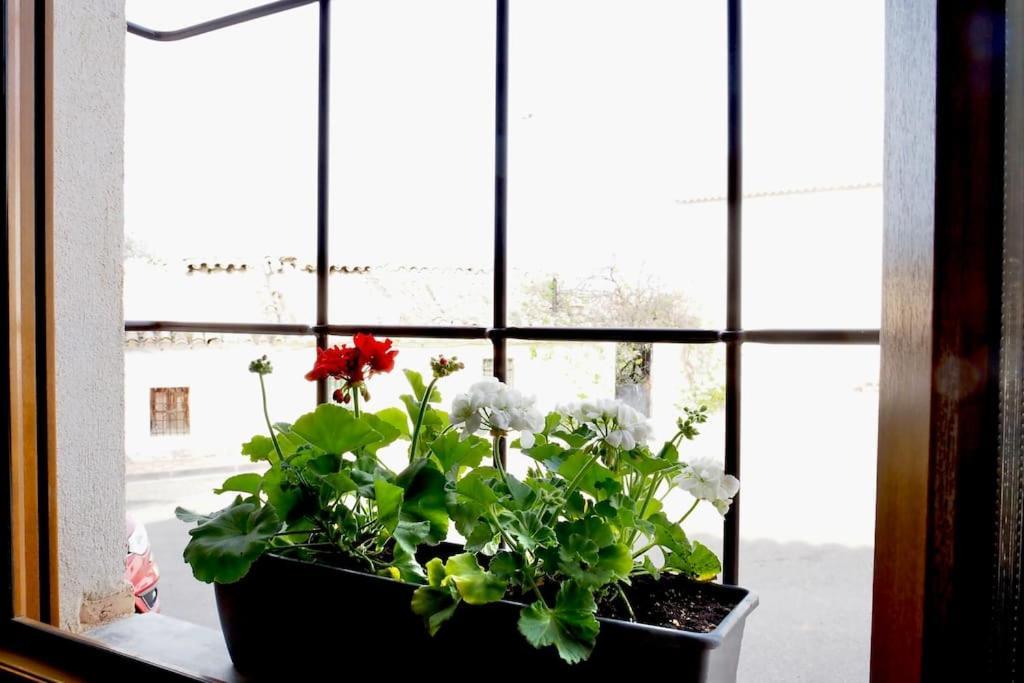 Mandres. Casa Con Jardin Y Piscina. Proximo A Puy Du Fou. Apartment *