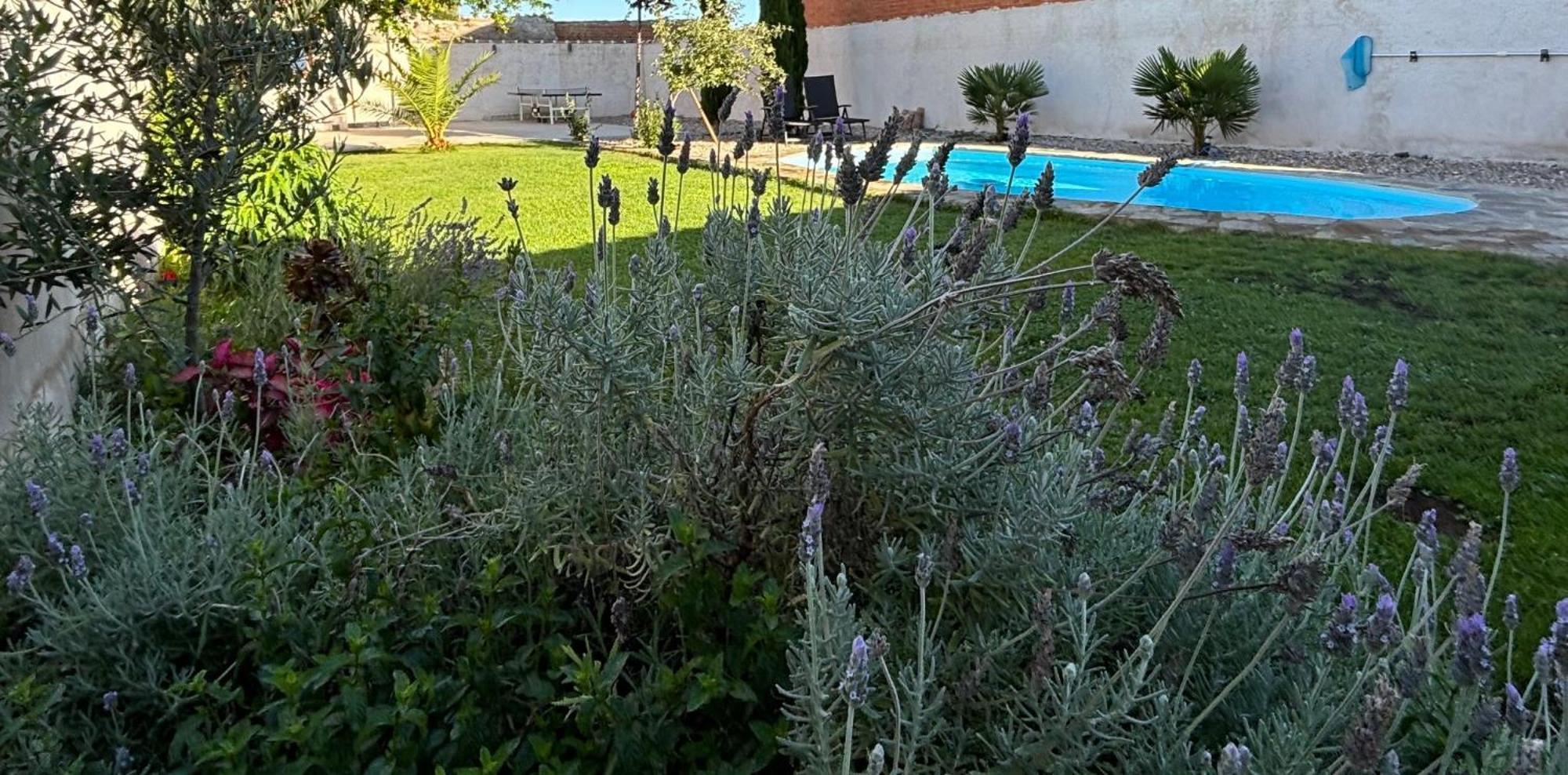 Apartment Mandres. Casa Con Jardin Y Piscina. Proximo A Puy Du Fou. *